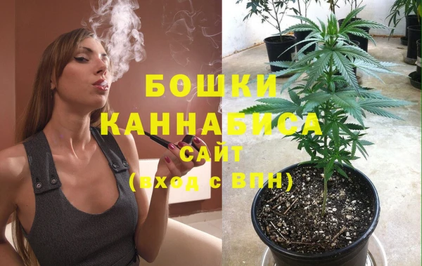 ГАЛЛЮЦИНОГЕННЫЕ ГРИБЫ Дмитриев