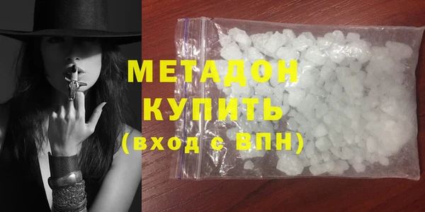 ГАЛЛЮЦИНОГЕННЫЕ ГРИБЫ Дмитриев