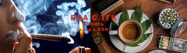 тгк Дмитров