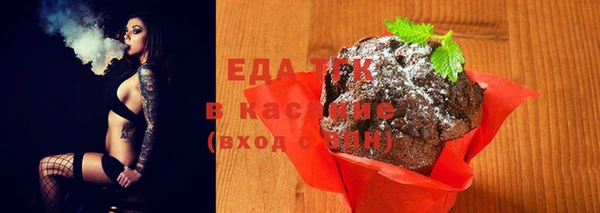 тгк Дмитров