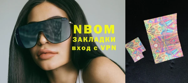 ГАЛЛЮЦИНОГЕННЫЕ ГРИБЫ Дмитриев