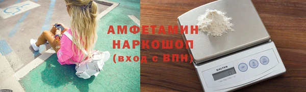 ГАЛЛЮЦИНОГЕННЫЕ ГРИБЫ Дмитриев