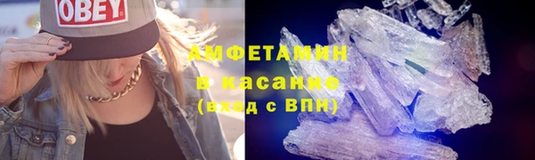 ГАЛЛЮЦИНОГЕННЫЕ ГРИБЫ Дмитриев
