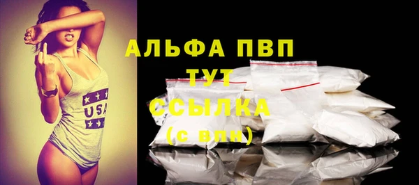ГАЛЛЮЦИНОГЕННЫЕ ГРИБЫ Дмитриев