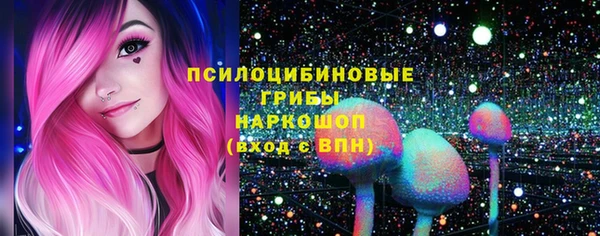 бошки Дмитровск