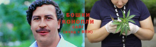 тгк Дмитров