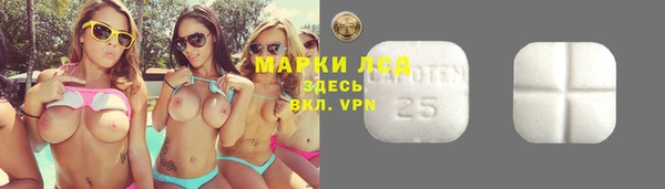 тгк Дмитров