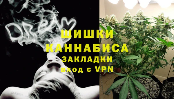 ГАЛЛЮЦИНОГЕННЫЕ ГРИБЫ Дмитриев