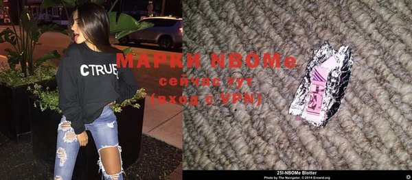 ГАЛЛЮЦИНОГЕННЫЕ ГРИБЫ Дмитриев