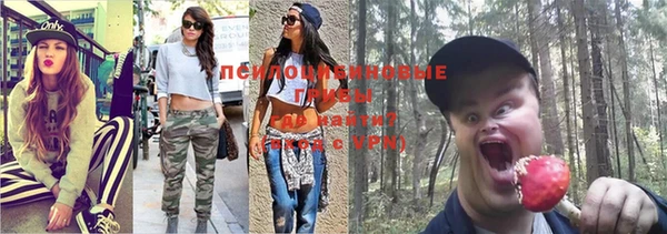 бошки Дмитровск