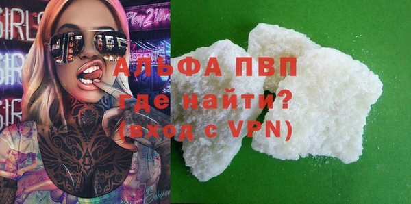 ГАЛЛЮЦИНОГЕННЫЕ ГРИБЫ Дмитриев