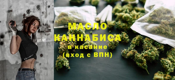 ГАЛЛЮЦИНОГЕННЫЕ ГРИБЫ Дмитриев