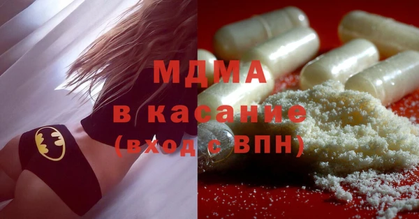 ГАЛЛЮЦИНОГЕННЫЕ ГРИБЫ Дмитриев
