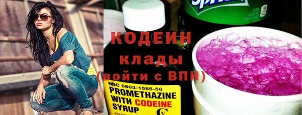 ГАЛЛЮЦИНОГЕННЫЕ ГРИБЫ Дмитриев