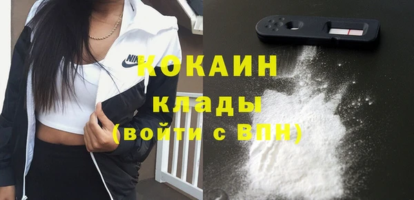 ГАЛЛЮЦИНОГЕННЫЕ ГРИБЫ Дмитриев