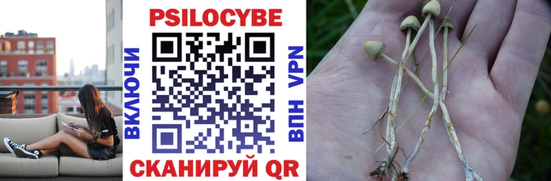Галлюциногенные грибы Cubensis  Оренбург 