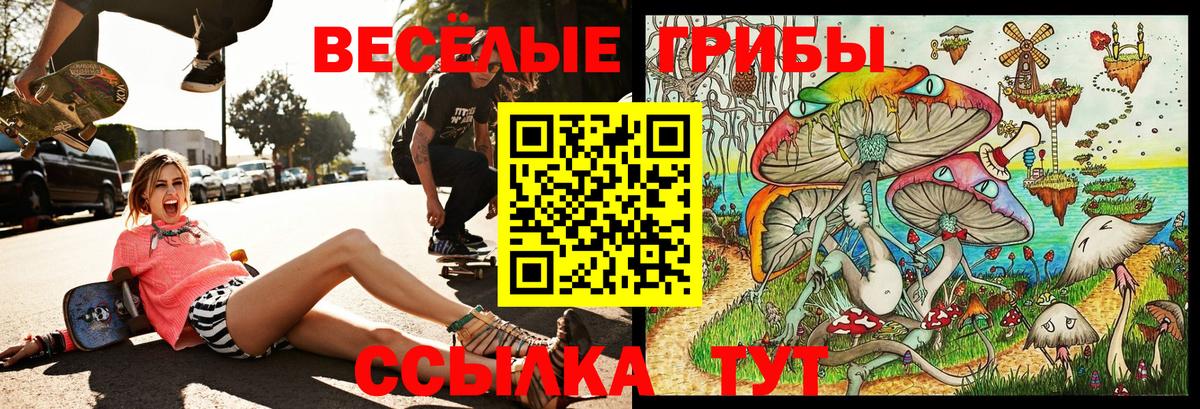 Оренбург  Псилоцибиновые грибы мухоморы  купить наркотик  Галлюциногенные грибы прущие грибы  Вход с VPN 